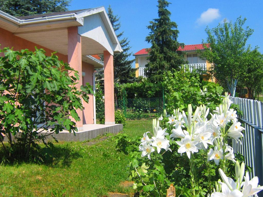 Feszek Apartmanhaz Вонярцвашхедь Экстерьер фото