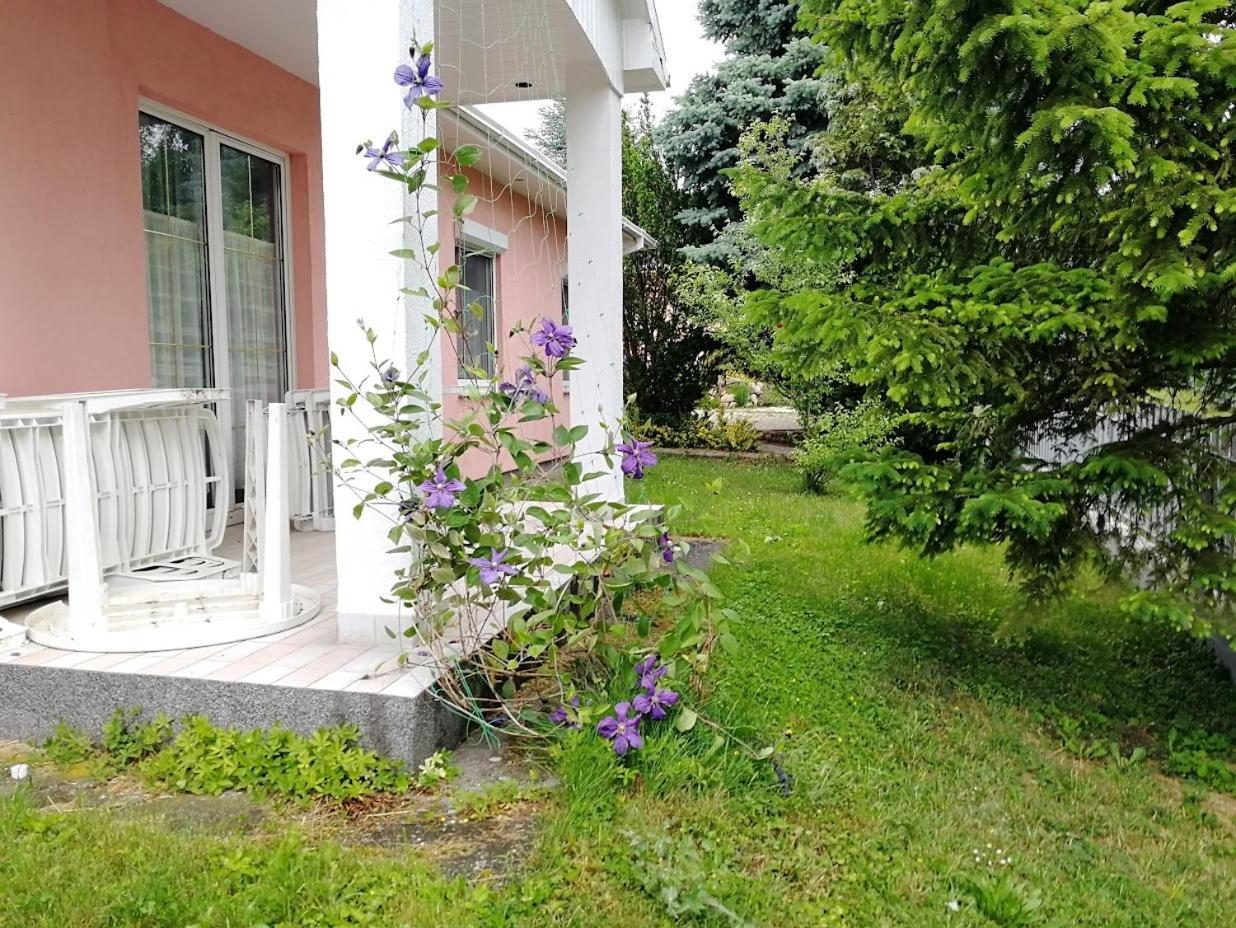 Feszek Apartmanhaz Вонярцвашхедь Экстерьер фото