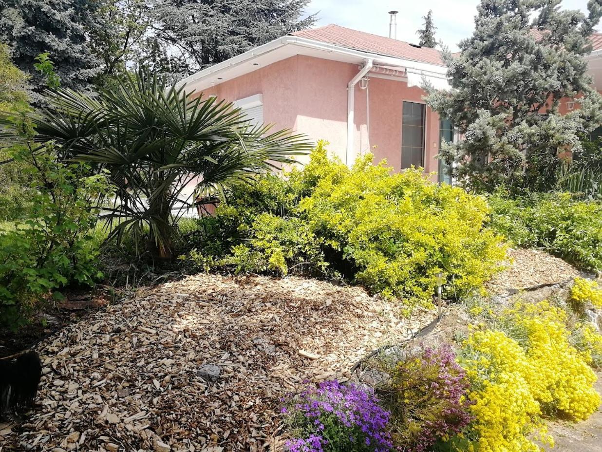 Feszek Apartmanhaz Вонярцвашхедь Экстерьер фото